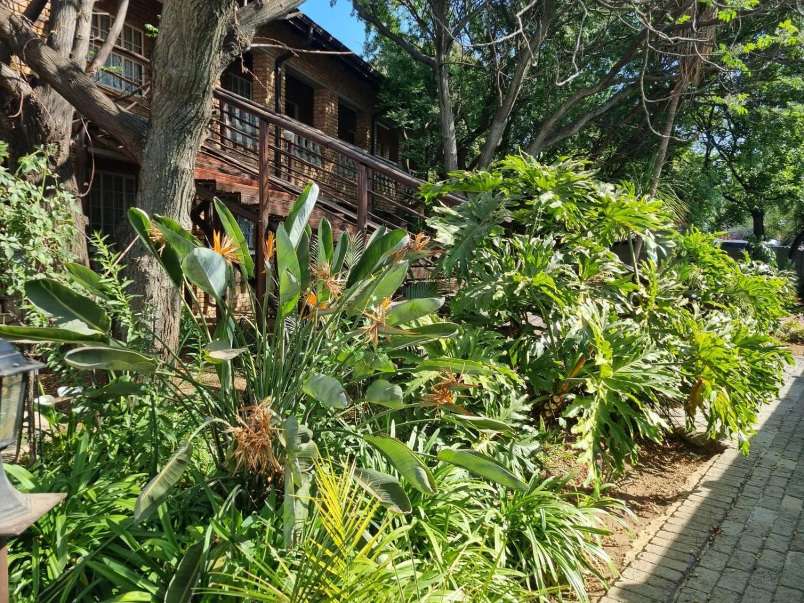 קמפטון פארק Emerald Guesthouse מראה חיצוני תמונה